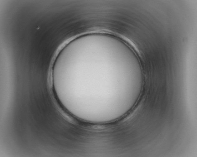 X0000112431371200908141422
