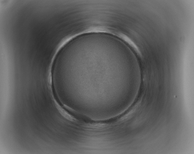 X0000112431372200908141422