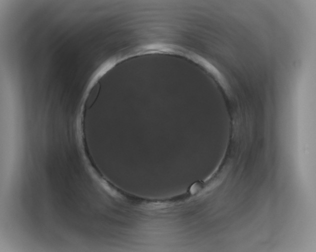 X0000112431373200908141422