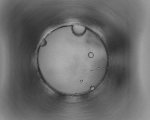 X0000112431374200908141422