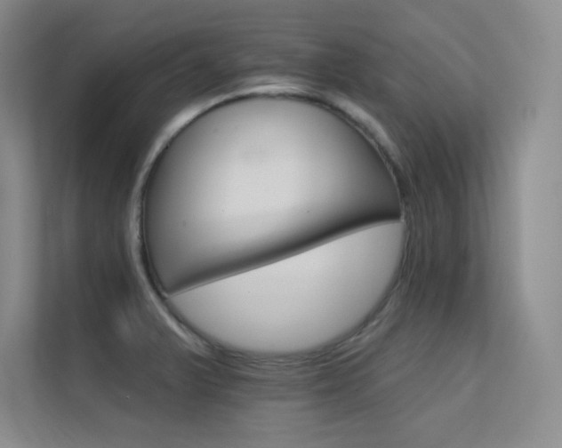 X0000112431375200908141422