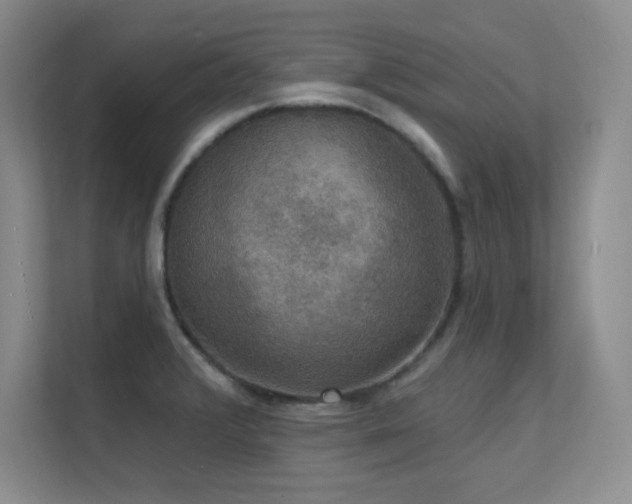 X0000112431376200908141422