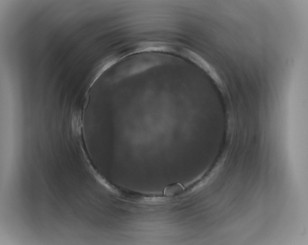 X0000112431377200908141422