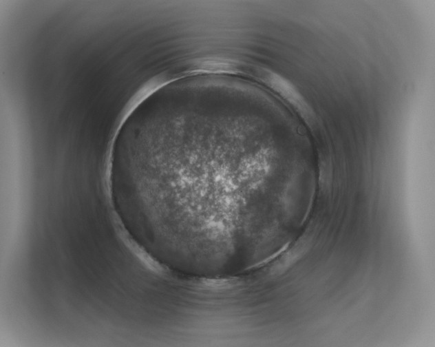 X0000112431378200908141422
