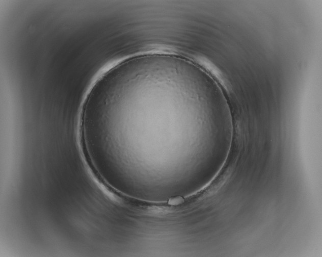 X0000112431379200908141422
