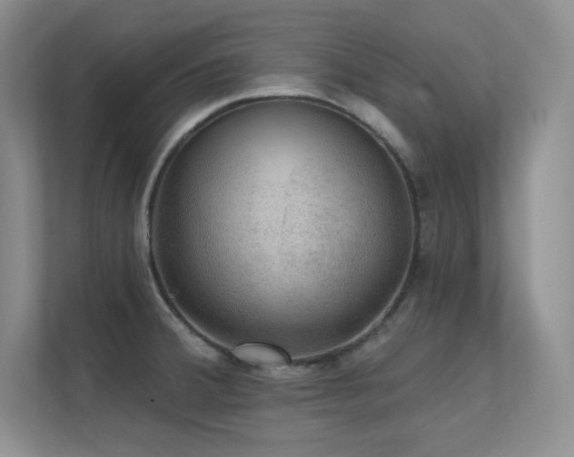 X0000112431380200908141422