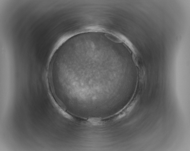 X0000112431381200908141422