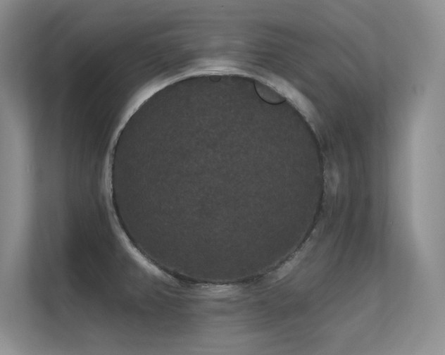 X0000112431382200908141422