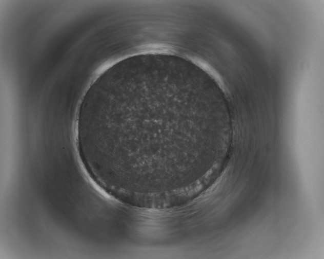 X0000112431383200908141422