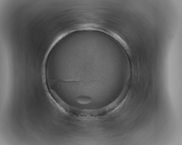 X0000112431384200908141422