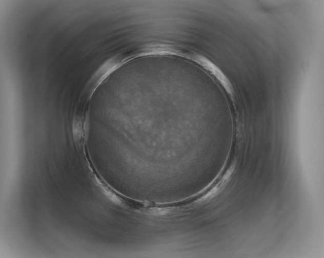 X0000112431385200908141422
