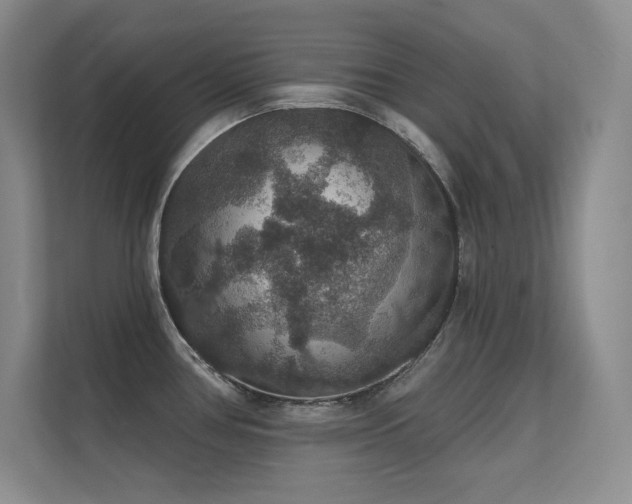X0000112431386200908141422