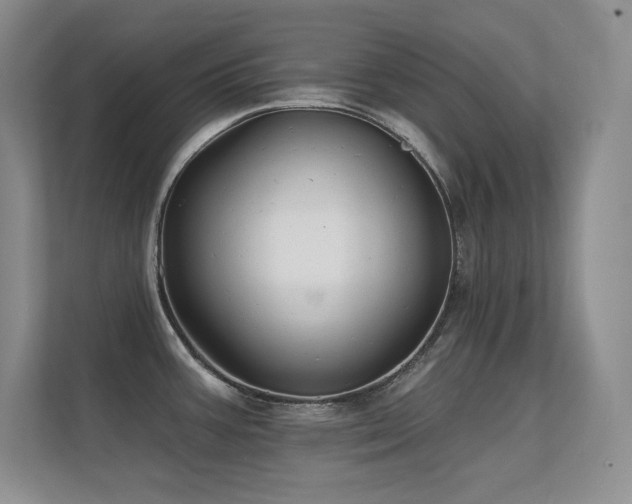 X0000112431387200908141422