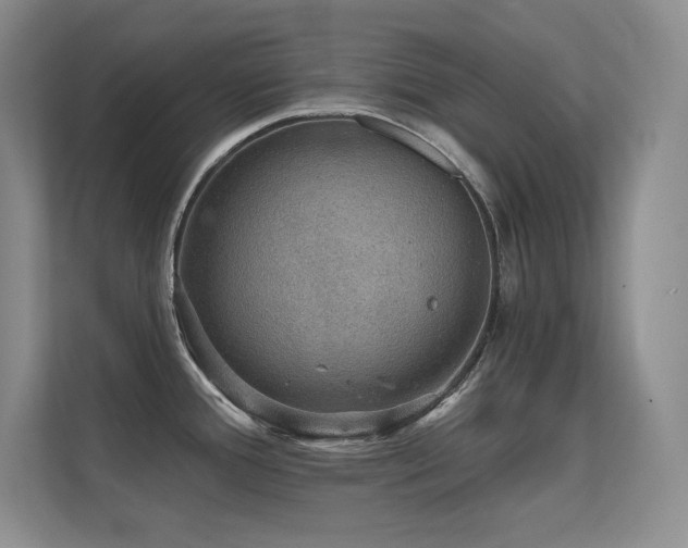 X0000112431388200908141422