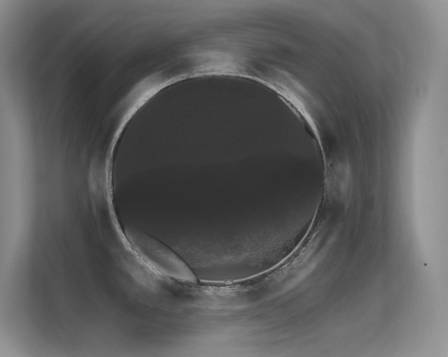 X0000112431389200908141422