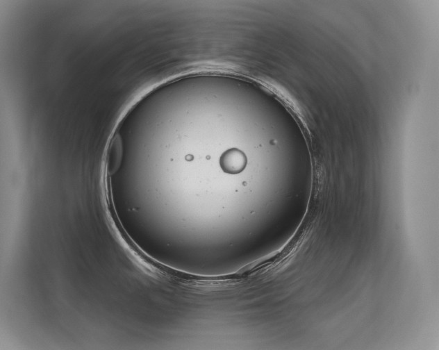 X0000112431391200908141422