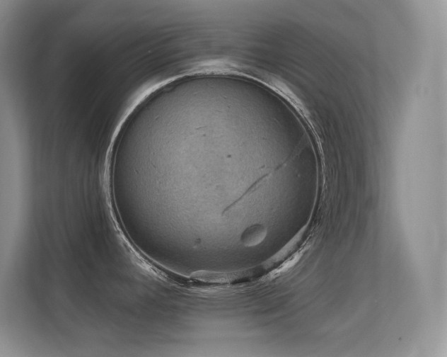 X0000112431392200908141422