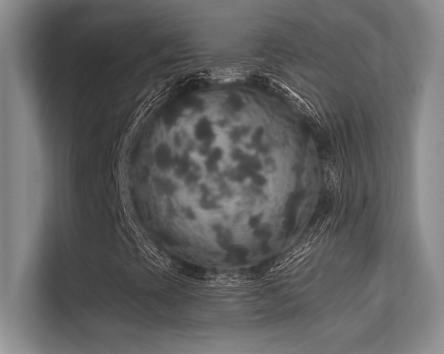 X0000112431393200908141421
