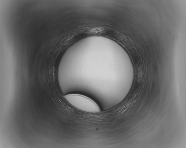 X0000112431394200908141421