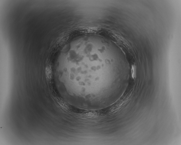 X0000112431395200908141421