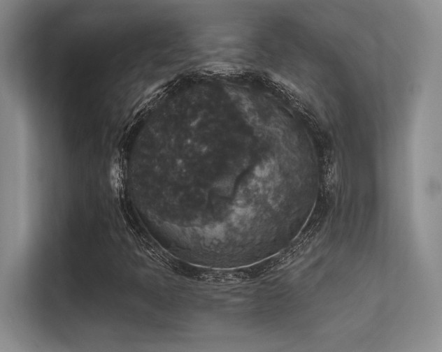 X0000112431397200908141421