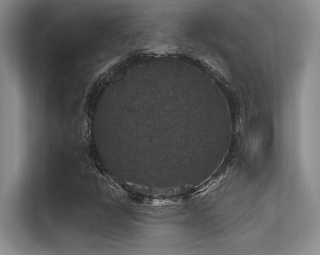 X0000112431398200908141421