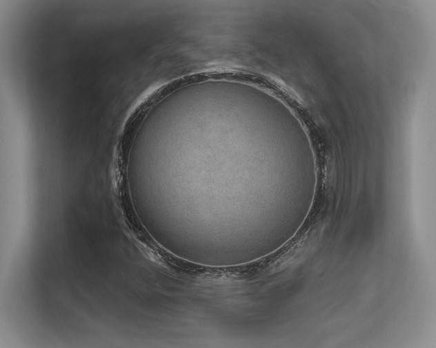 X0000112431400200908141421