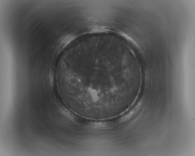 X0000112431401200908141421