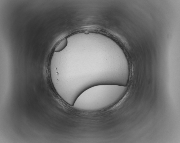 X0000112431405200908141422
