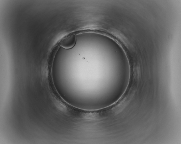 X0000112431406200908141422