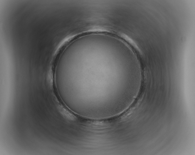 X0000112431408200908141422