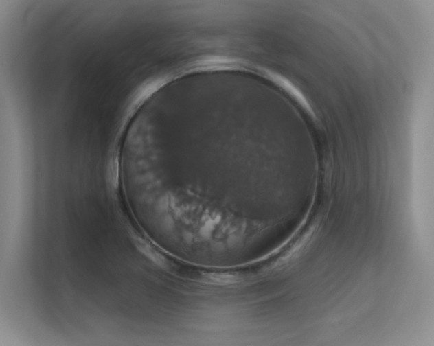 X0000112431413200908141422
