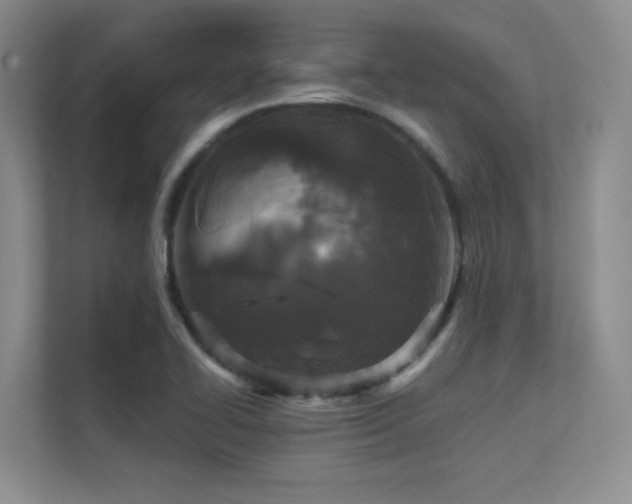 X0000112431414200908141422