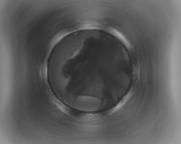 X0000112431419200908141422