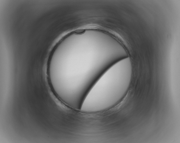 X0000112431422200908141422