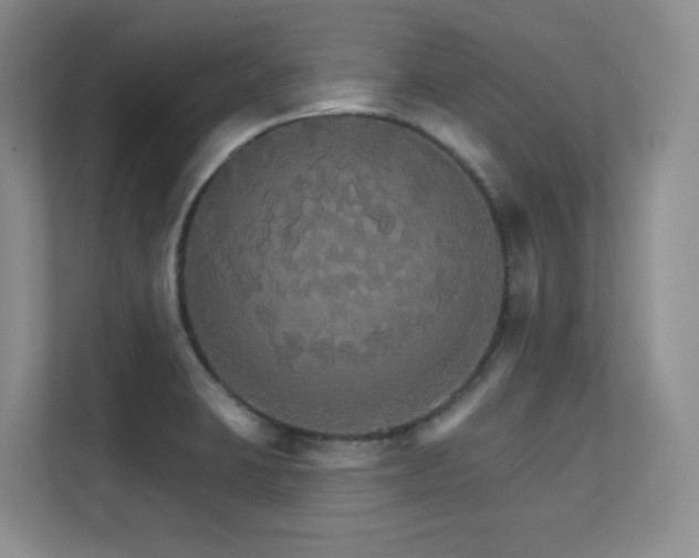 X0000112431423200908141422