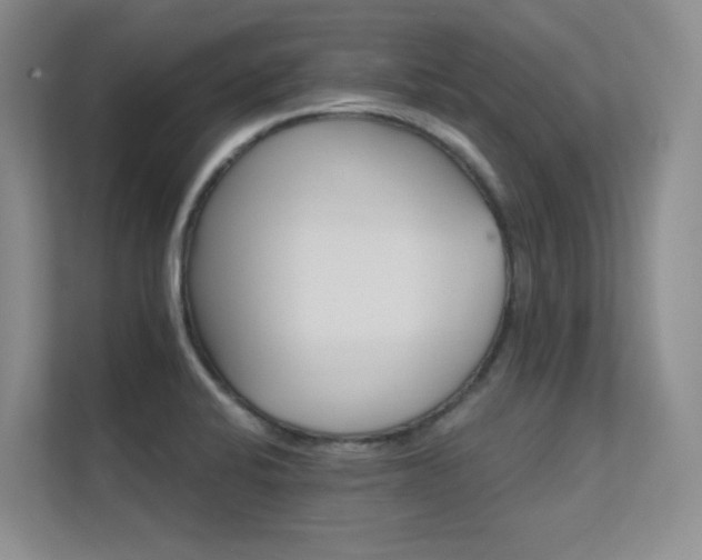 X0000112431424200908141422