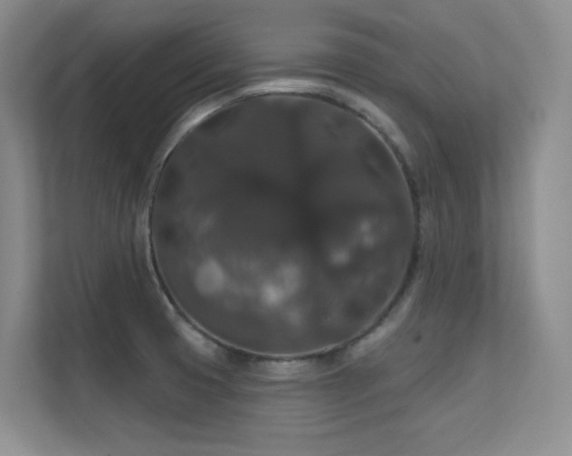 X0000112431425200908141422