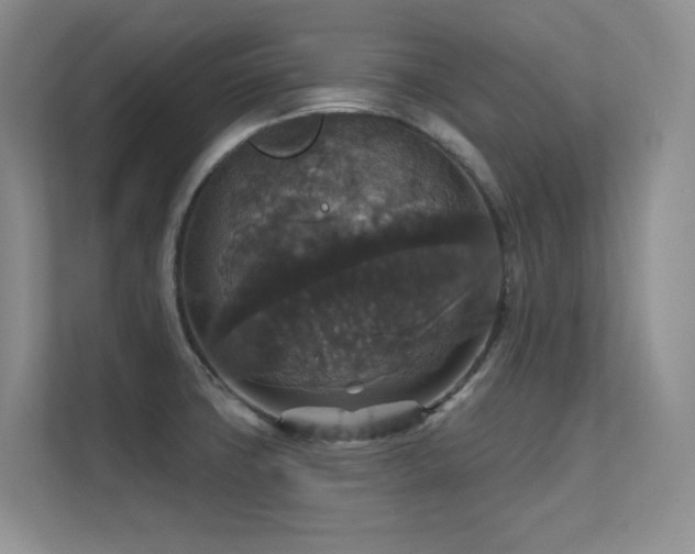 X0000112431427200908141422