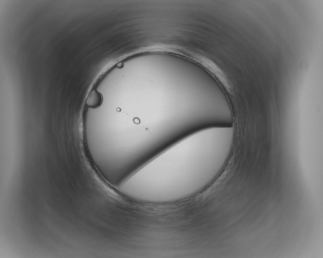 X0000112431428200908141422
