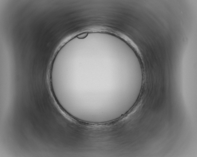 X0000112431429200908141422