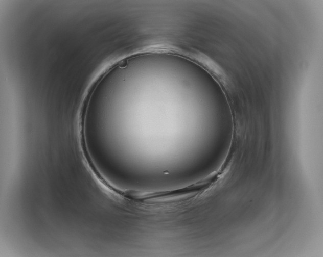 X0000112431430200908141422