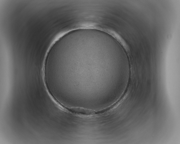 X0000112431432200908141422