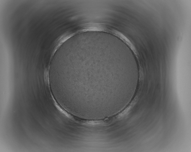 X0000112431433200908141422