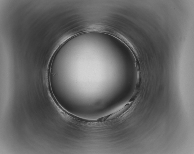 X0000112431434200908141422