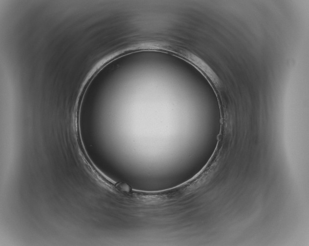X0000112431436200908141422