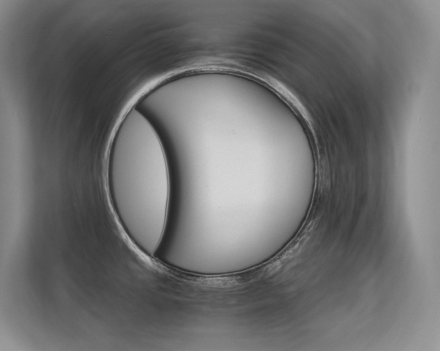 X0000112431437200908141422