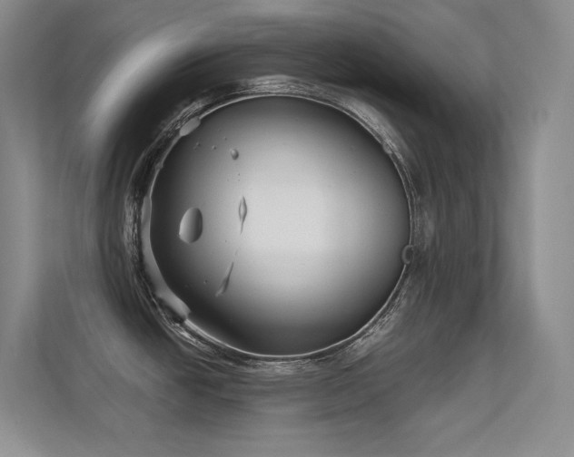 X0000112431438200908141422