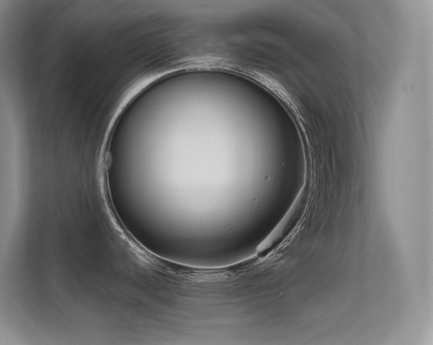 X0000112431440200908141422