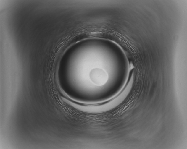 X0000112431441200908141421